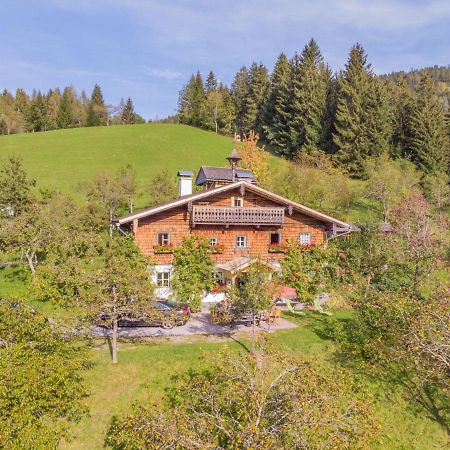 Holiday Home Oberhaslach By Interhome Abtenau Dış mekan fotoğraf