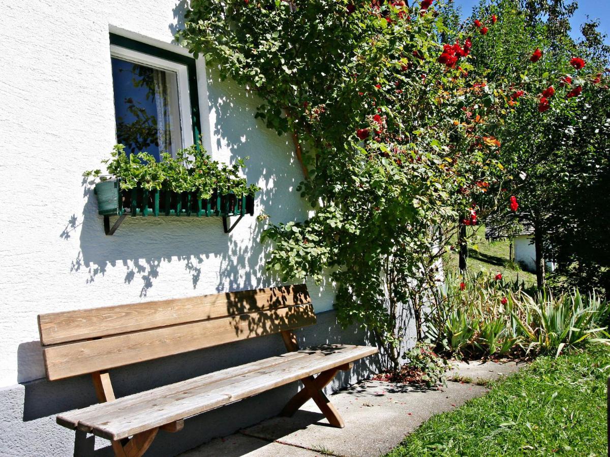 Holiday Home Oberhaslach By Interhome Abtenau Dış mekan fotoğraf