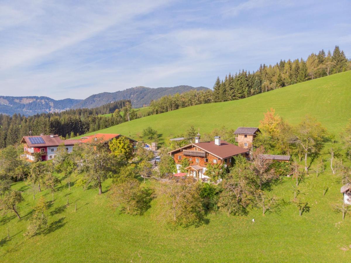 Holiday Home Oberhaslach By Interhome Abtenau Dış mekan fotoğraf