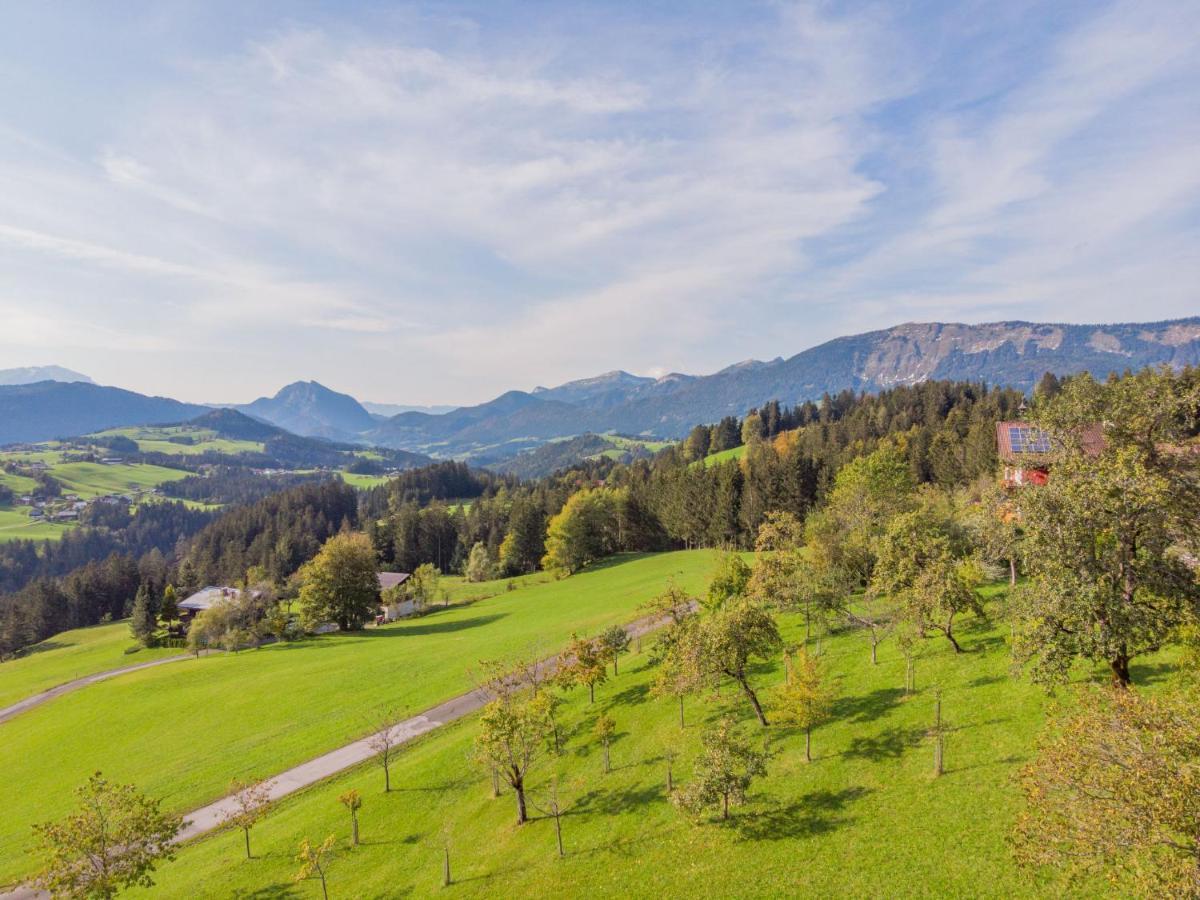 Holiday Home Oberhaslach By Interhome Abtenau Dış mekan fotoğraf
