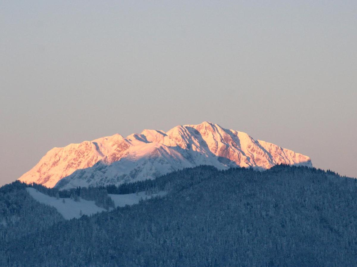 Holiday Home Oberhaslach By Interhome Abtenau Dış mekan fotoğraf